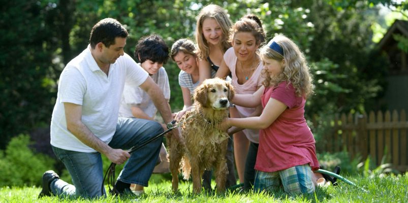Familie